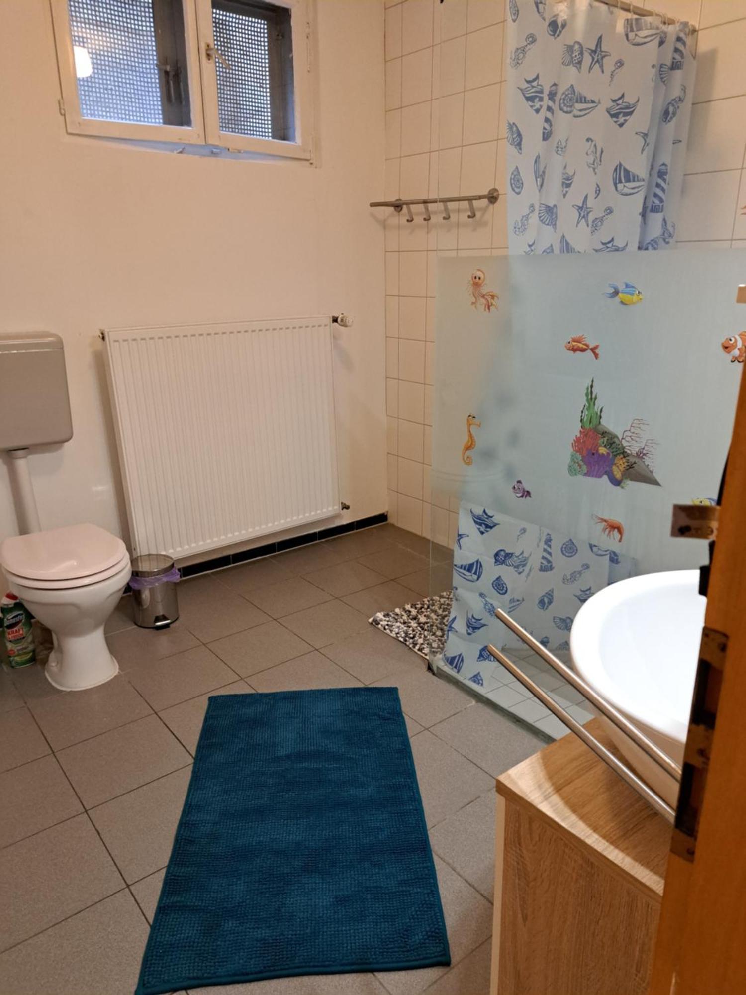 Wohnung Mit 2 - 3 Zimmern Ballenberg Exteriér fotografie